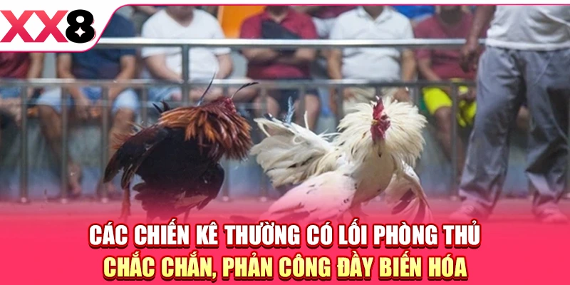 Các chiến kê thường có lối phòng thủ chắc chắn, phản công đầy biến hóa