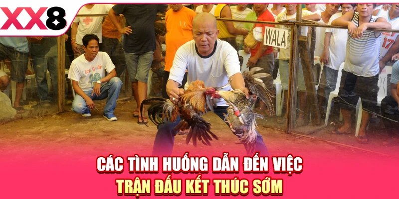 Các tình huống dẫn đến việc trận đấu kết thúc sớm