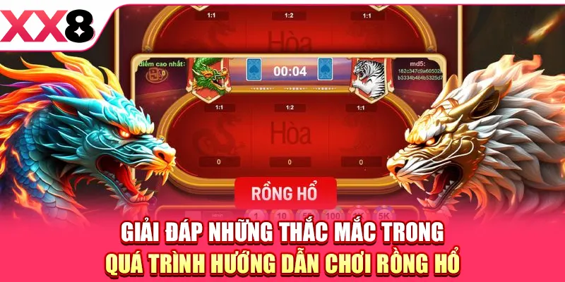 Giải đáp những thắc mắc trong quá trình hướng dẫn chơi Rồng Hổ