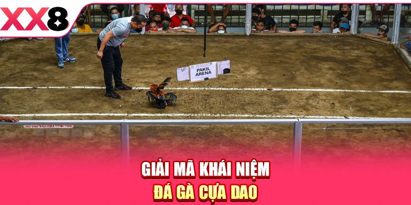 Giải mã khái niệm đá gà cựa dao
