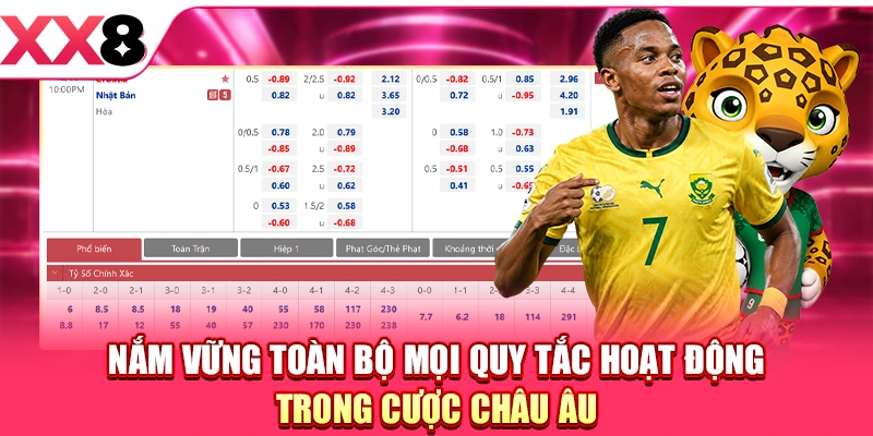 Nắm vững toàn bộ mọi quy tắc hoạt động trong cược châu Âu